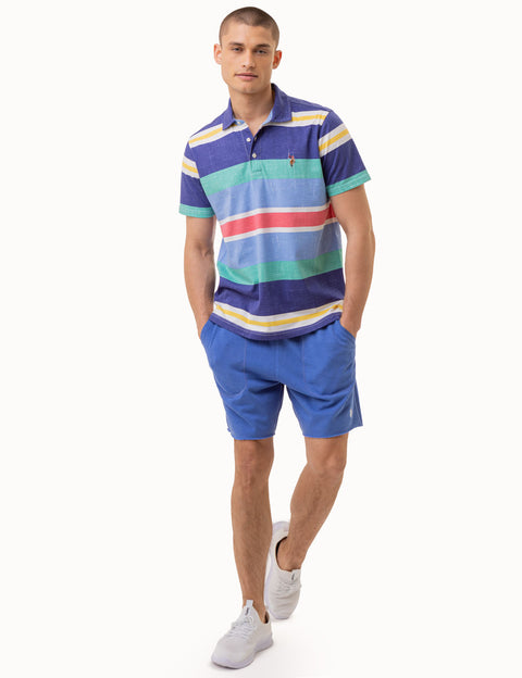 ENGINEERED STRIPE MULTICOLOR LOGO POLO SHIRT - U.S. Polo Assn.