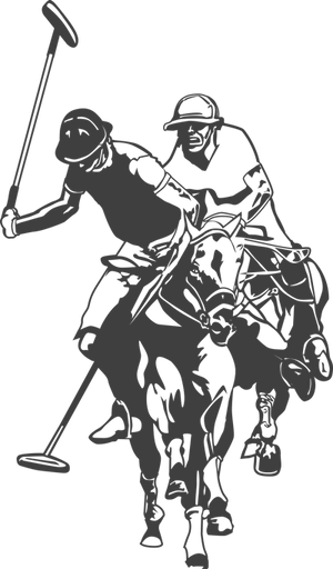 Difference between us polo sales and ralph lauren logo