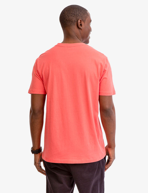 SOLID V-NECK T-SHIRT - U.S. Polo Assn.